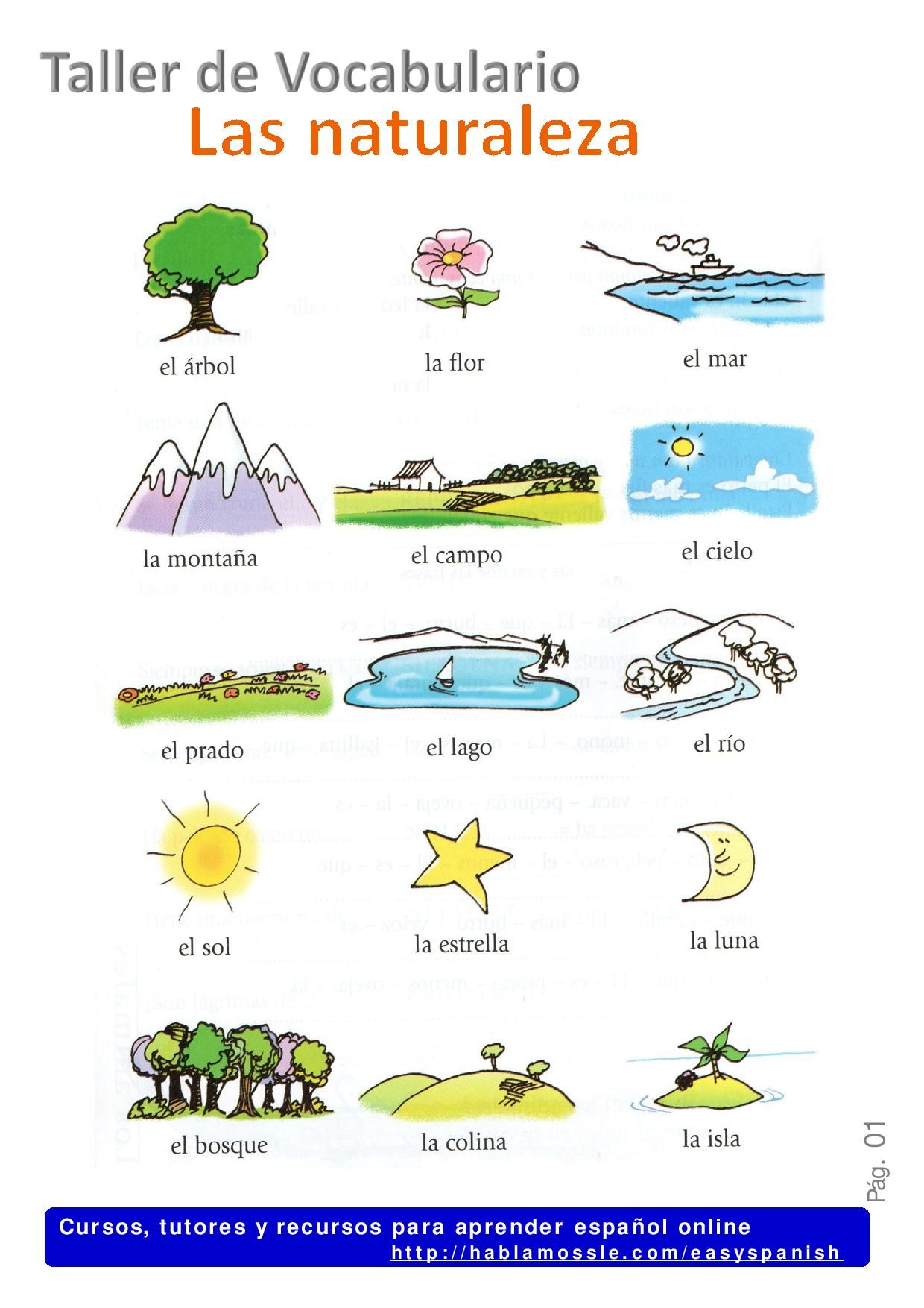 spanish basic vocabulary pdf